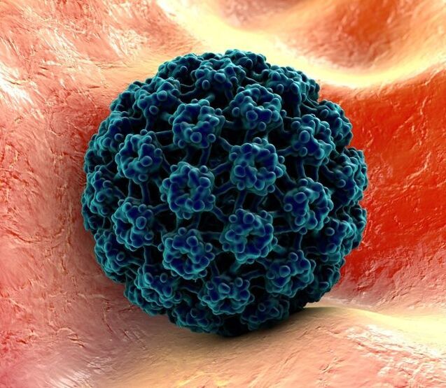 3D model of HPV causing hand warts